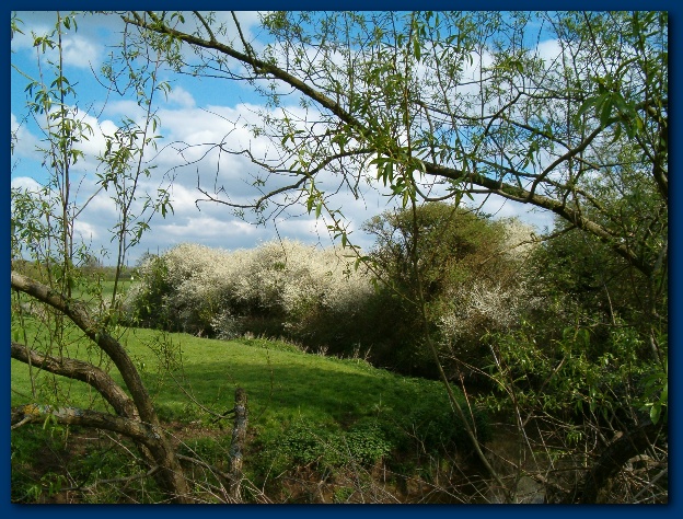 600x449 pixels (205K)